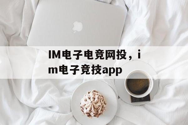 IM电子电竞网投，im电子竞技app